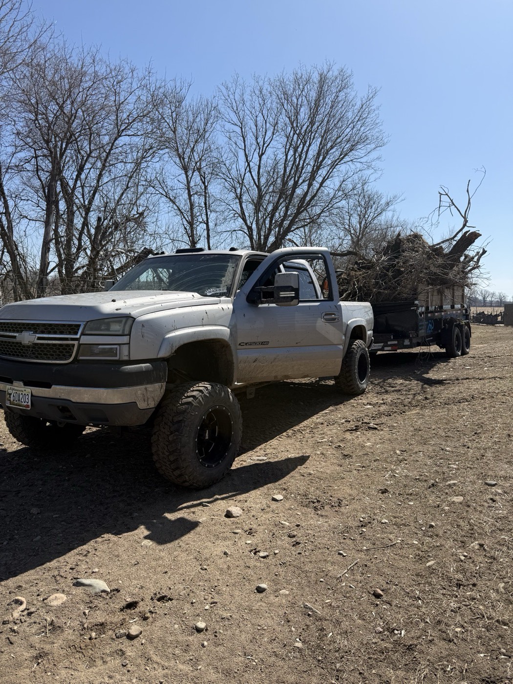Truck and dump trailer hauling cleared trees — Minnetonka land clearing