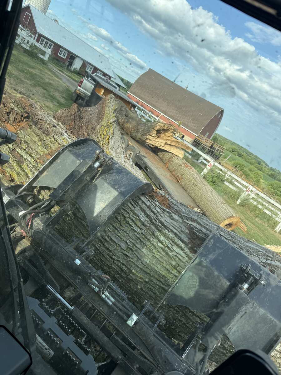Tree Removal project — Revisions Unlimited serves Central Minnesota MN