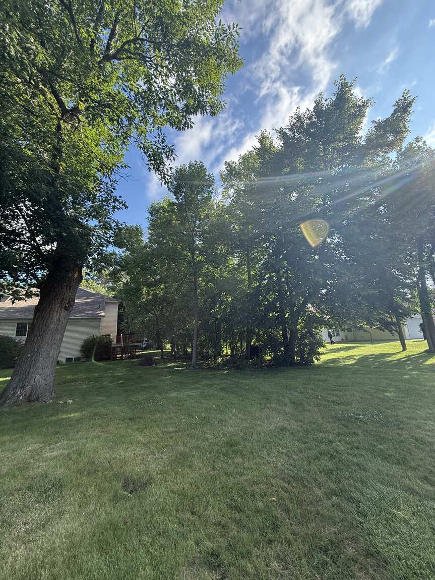 Tree Removal project — Revisions Unlimited serves Central Minnesota MN
