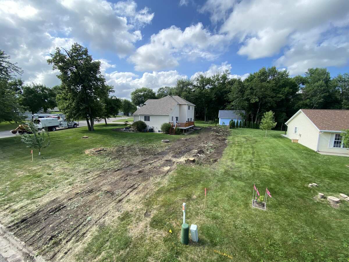 Tree Removal project — Revisions Unlimited serves Central Minnesota MN