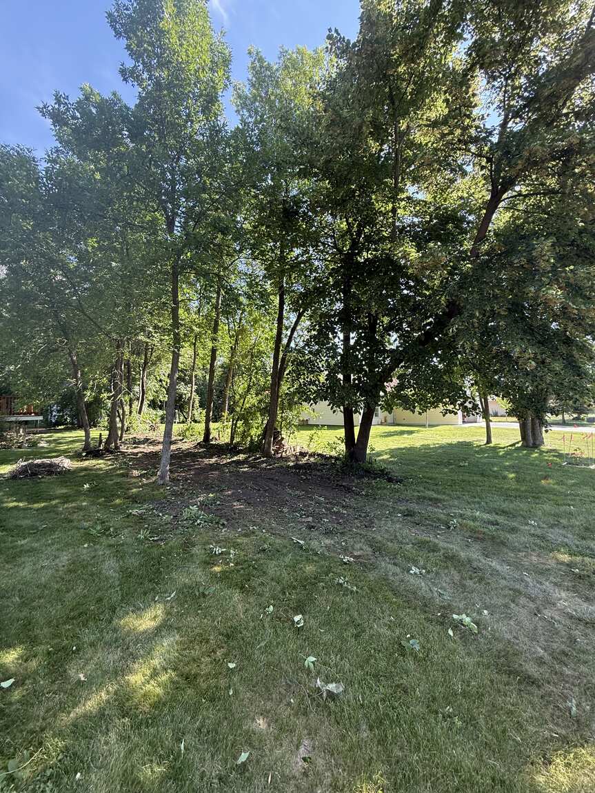 Tree Removal project — Revisions Unlimited serves Central Minnesota MN