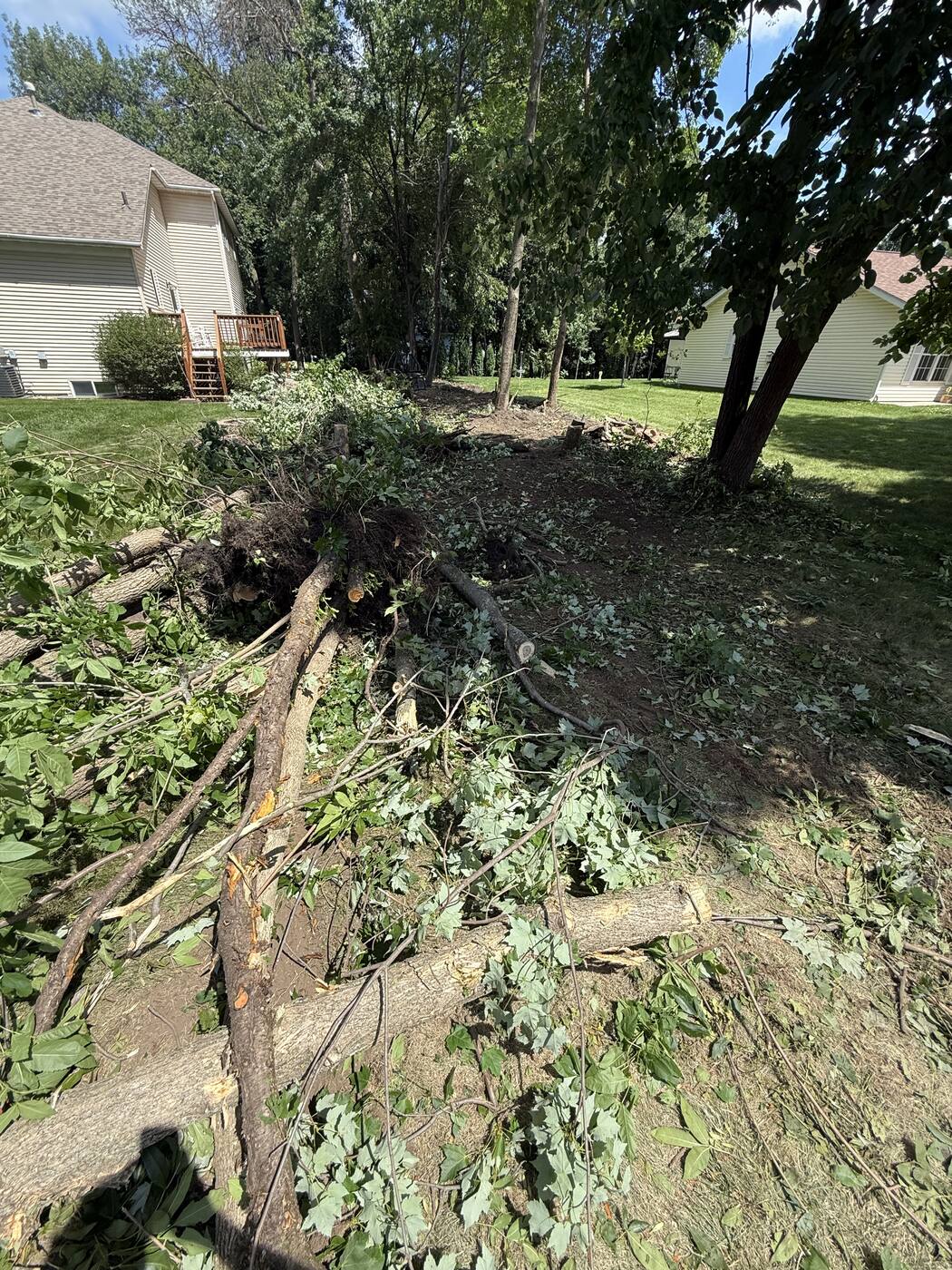 Stump and root ball pulled with heavy equipment