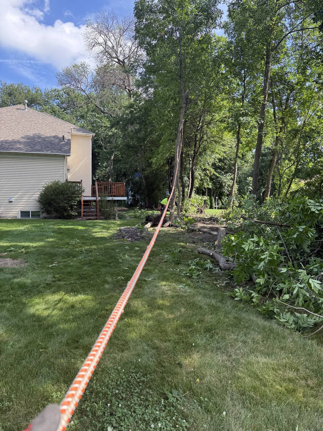 Cleared — the tree line opened up to bare ground