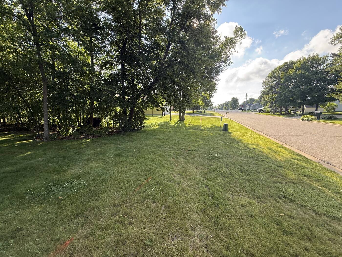 After — open, mowable backyard with the tree line gone
